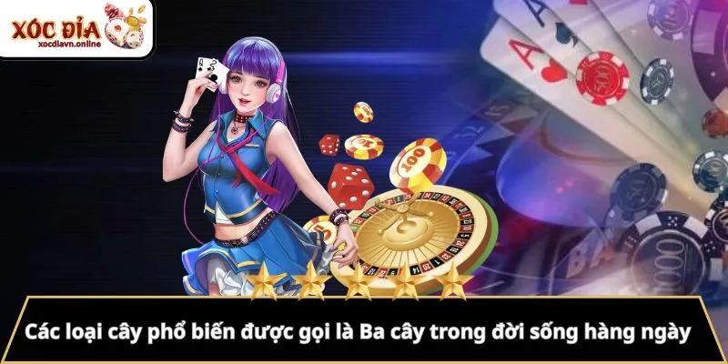 Các loại cây phổ biến được gọi là Ba cây trong đời sống hàng ngày